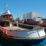 Lady Thetis - ex Altona in Limassol_1