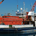 Lady Thetis - ex Altona in Limassol_2