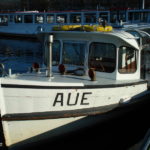 Aue 003 am 29.10.2008 am Anleger Jungfernstieg