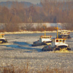 Vier geesthachter Eisbrecher