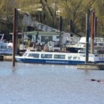 SERRAHN LADY am 6.04.2015_1