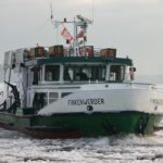"Finkenwerder" am 10.01.09