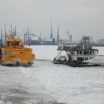 Elbe 007: Wolfgang Borchert und Finkenwerder am 7.2.2012_1