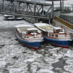 Zwei \"Glitschers\" im Eis _1