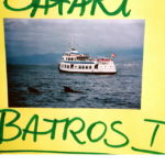 Batros I ex Harburg (1953) 002 im Febr. 1994