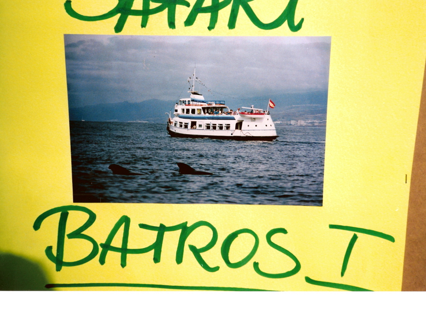 Batros I ex Harburg (1953) 002 im Febr. 1994