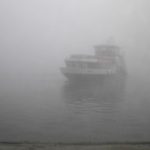 Harmonie im Nebel