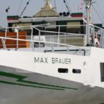 Max Brauer