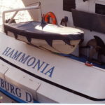 HAMMONIA (ENI 05802340), in 1994, Heckansicht,_1