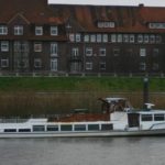 "Bleckeder Löwe" am 23.11.08