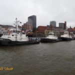 Hafenansicht 083: Schlepperponton St. Pauli am 21.2.2015_1