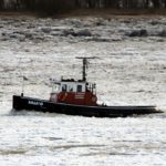 SALMO am 17.2.2012_1