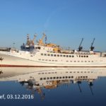 FAIR LADY und FUNNY GIRL im Winterlager 04.12.2016_1