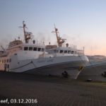 FAIR LADY und FUNNY GIRL im Winterlager 04.12.2016_3