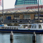 Hein Mück für\'s Sommerloch_1