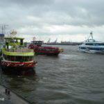 Oortkaten (2009) 012 am 10.7.2009_2