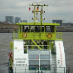Oortkaten (2009) 029 am 10.7.2009_3