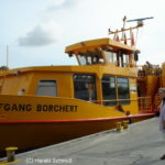 Wolfgang Borchert (2) (1993) 016 am 1.10.2007